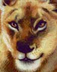 Closeup painting of lion by Nan Sea Love